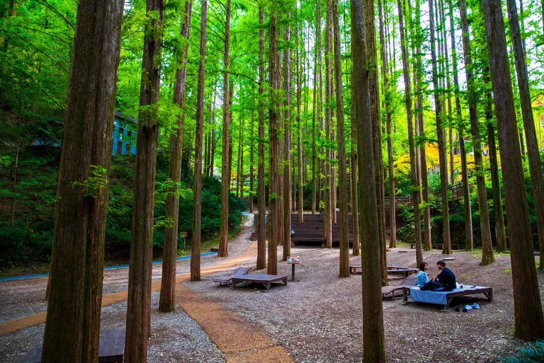 長泰山自然修養林