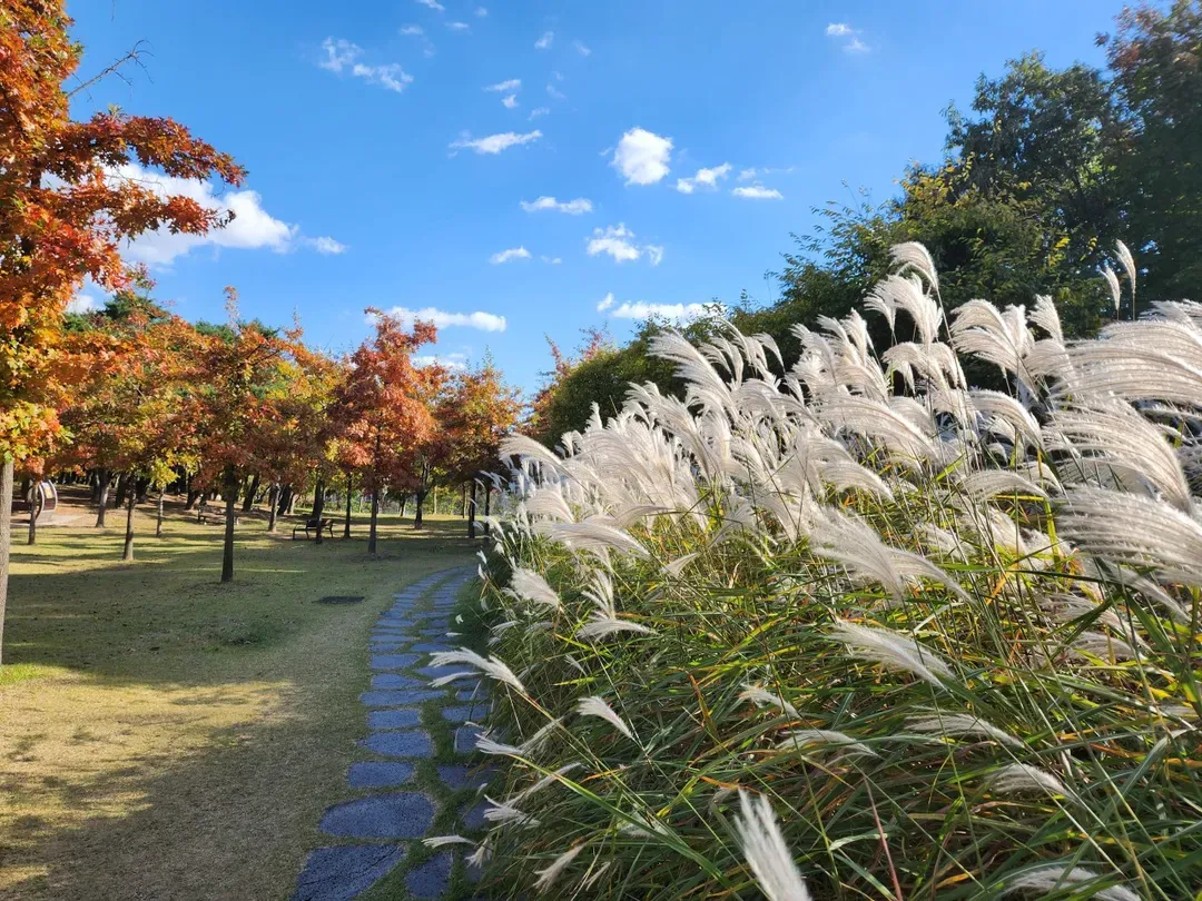 大田樹木園周邊景觀