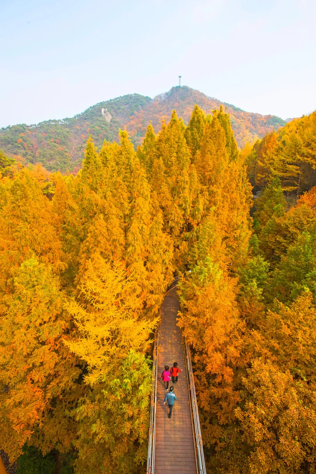 長泰山自然修養林步道