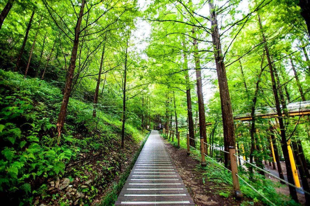 長泰山自然修養林步道