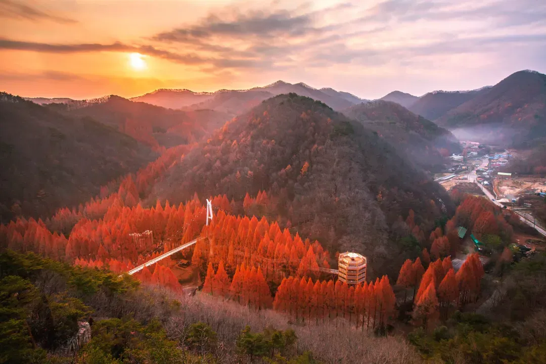 長泰山自然修養林山景