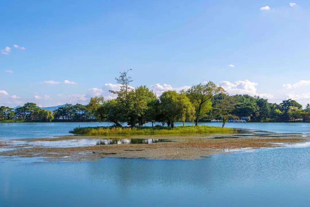 義林池