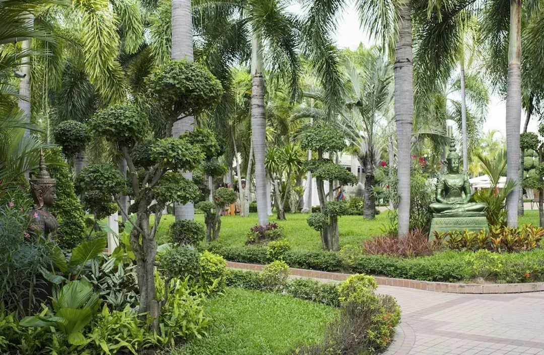 Garden