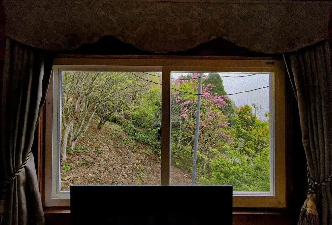 View from room