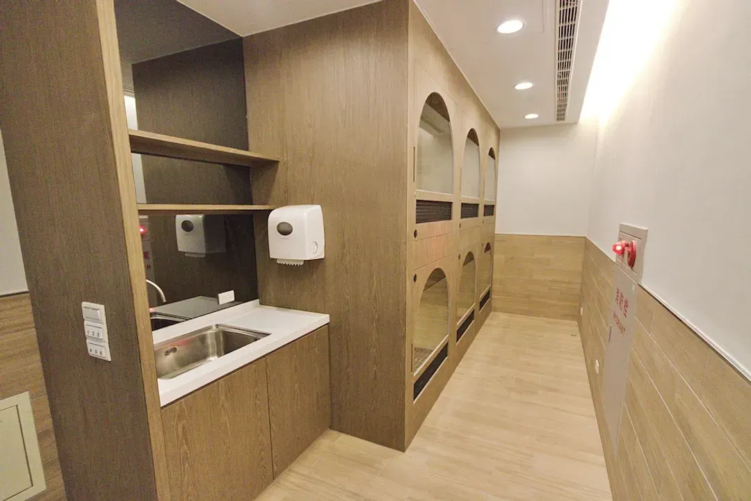 Pet-friendly amenities