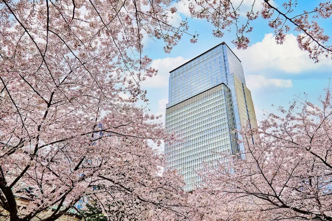 Tokyo Prefecture-Mandarin Oriental, Tokyo