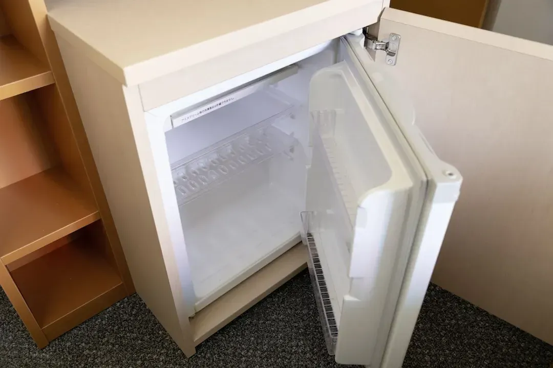 Mini-refrigerator