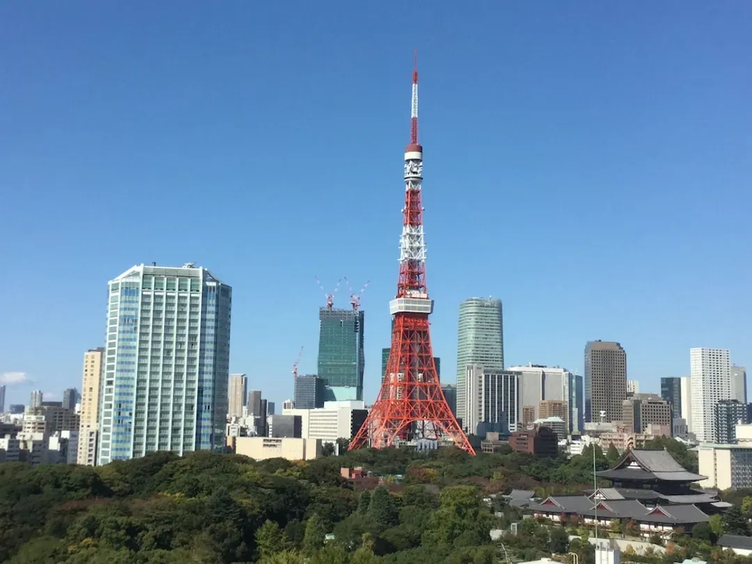 View from room