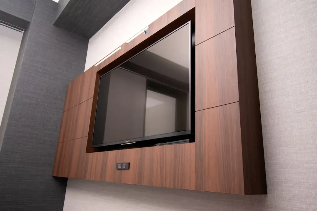 Television