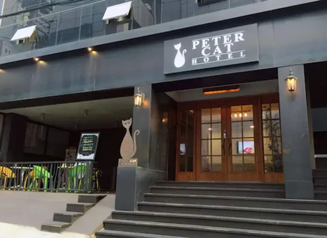 ソウル特別市-ピーターキャット ホテル シンチョン ホンデ (彼得貓酒店新村弘大店)