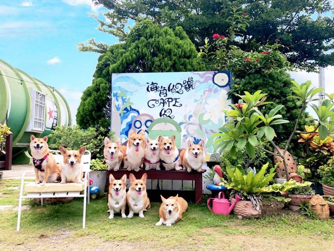 海角42號三館 | 6~12人墾丁包棟 | 寵物友善-1