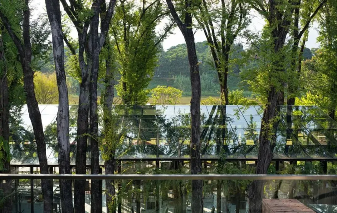 View from room