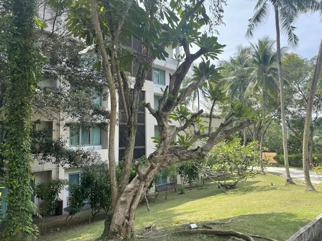 新加坡聖淘沙索菲特度假村及水療中心