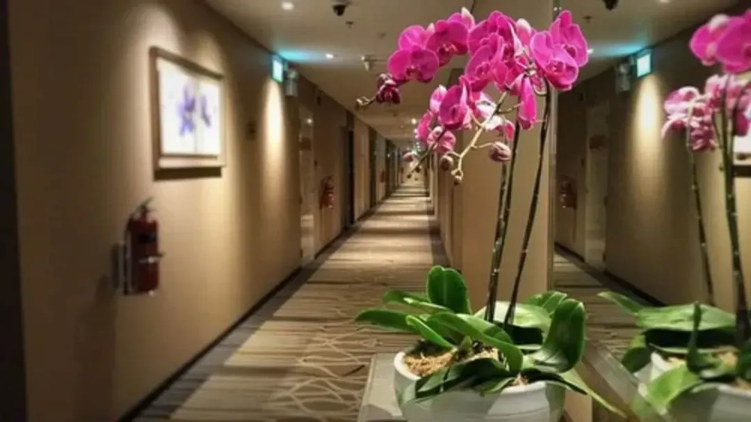 3 号航站楼大使中转饭店
