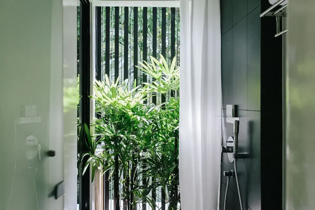 罗伊德旅馆 (SG Clean)