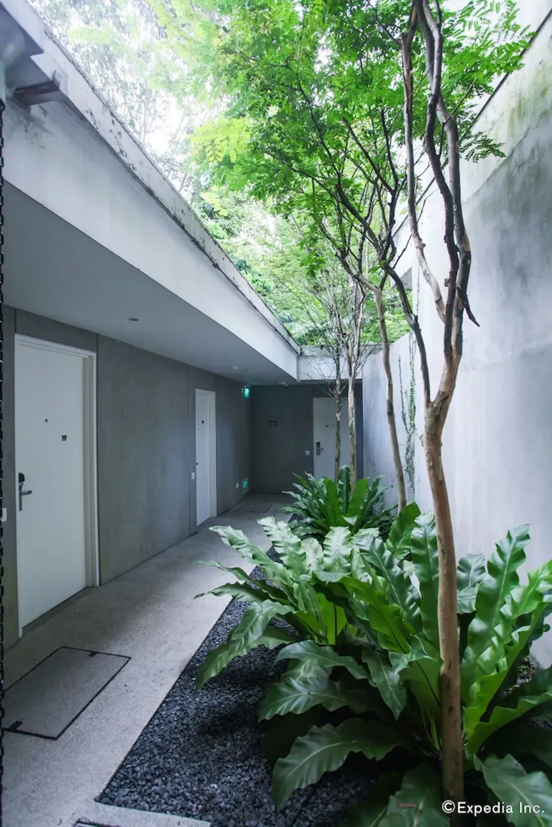罗伊德旅馆 (SG Clean)