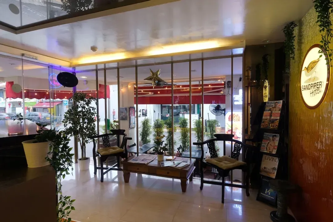矶鹬饭店 (SG Clean)