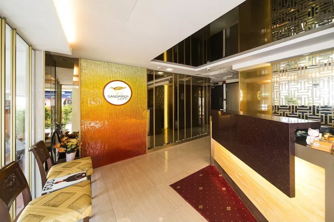 矶鹬饭店 (SG Clean)