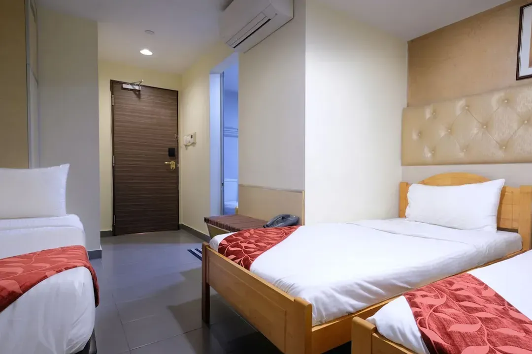 矶鹬饭店 (SG Clean)