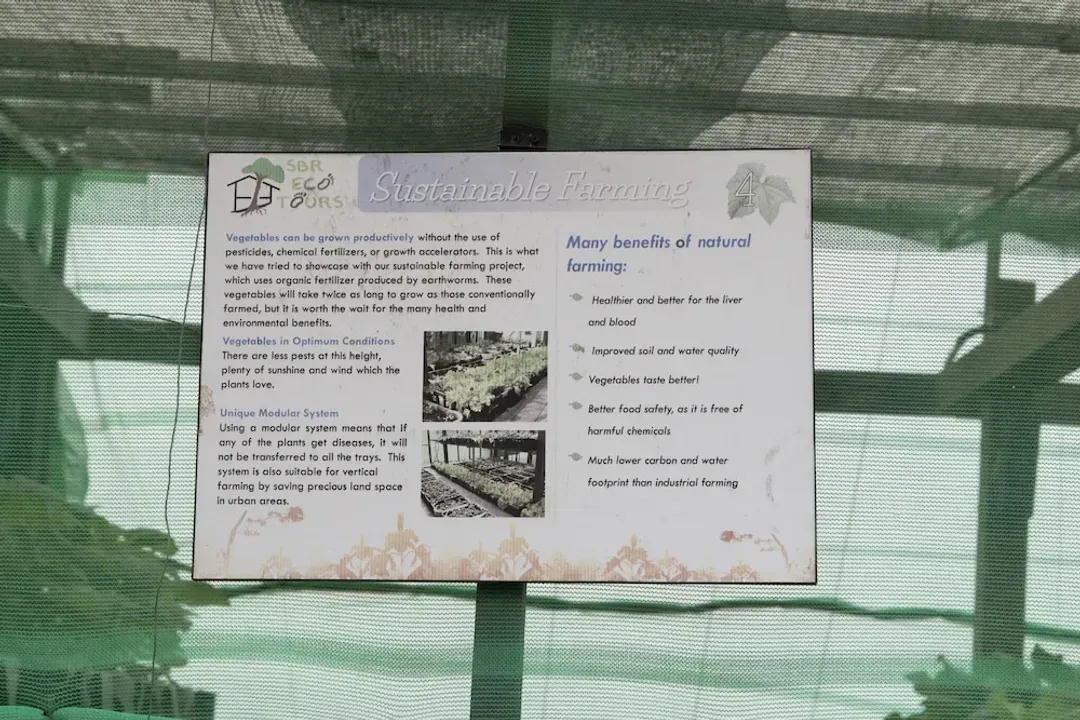 聖淘沙西羅索渡假村