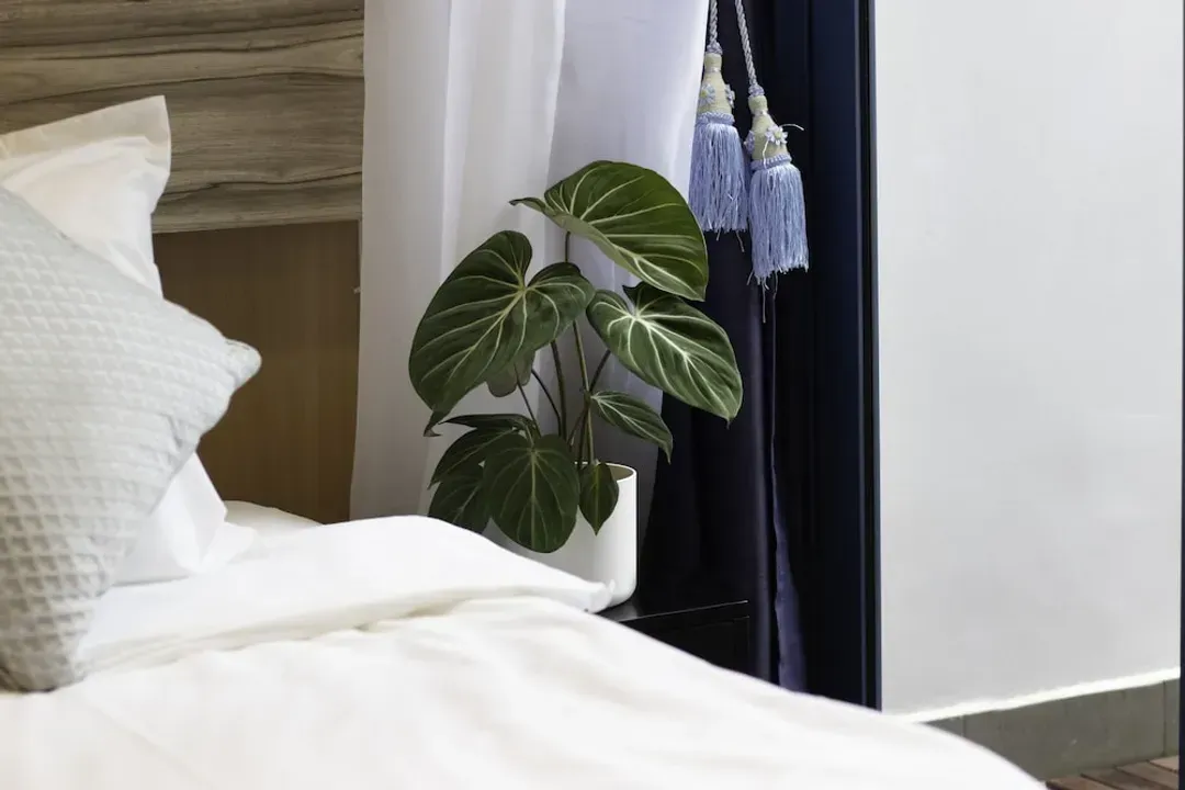 Victoria Hotel, a NuVe Group Collection