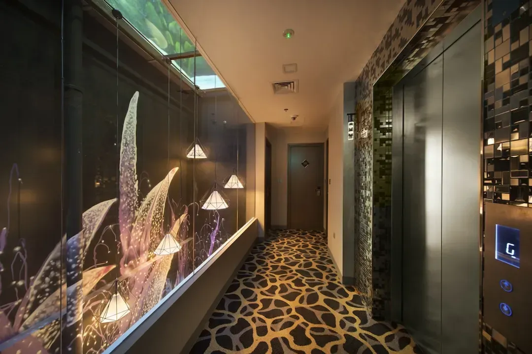 三叶草 7 饭店