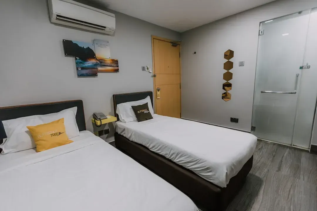 胡桃樹飯店 (SG Clean)