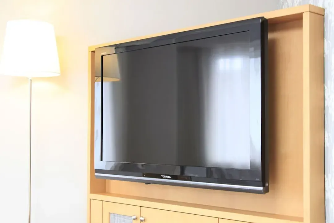 Television