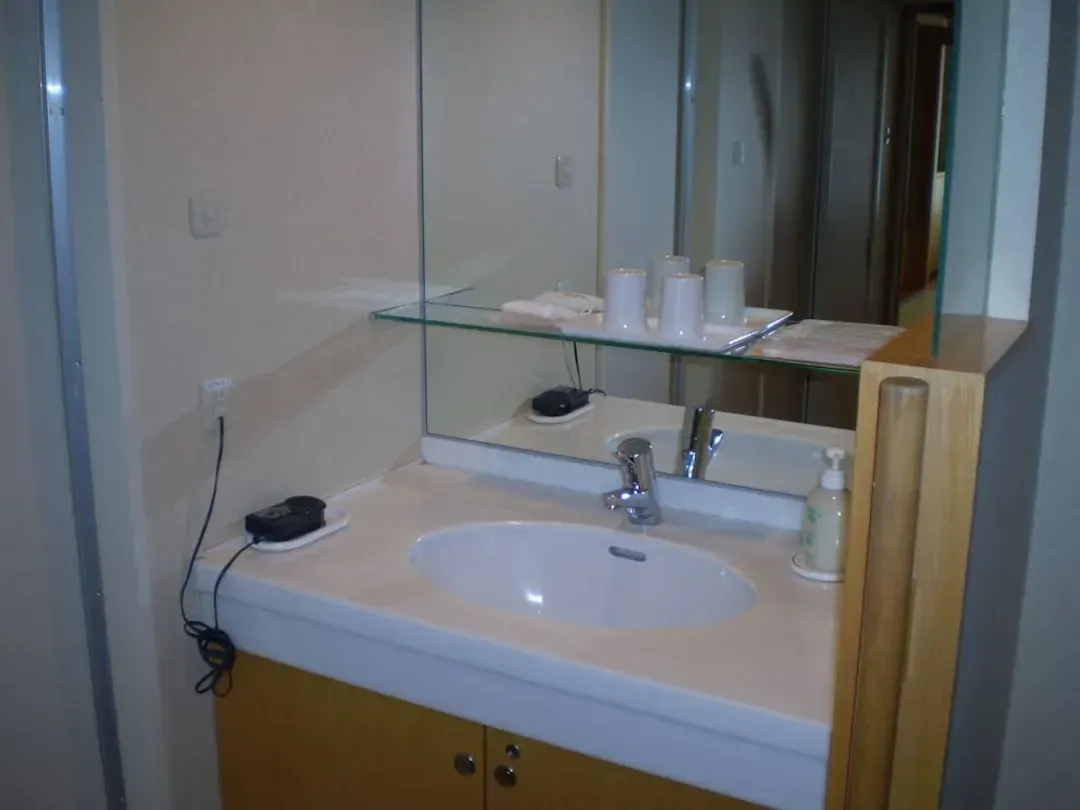 Bathroom sink