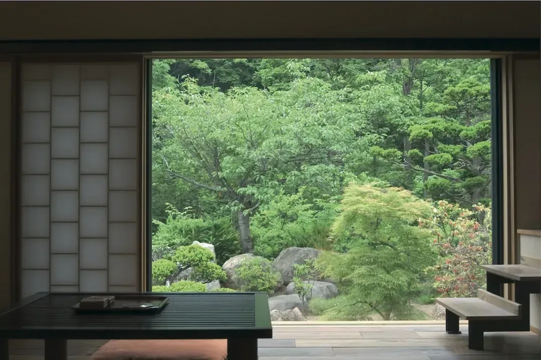 View from room