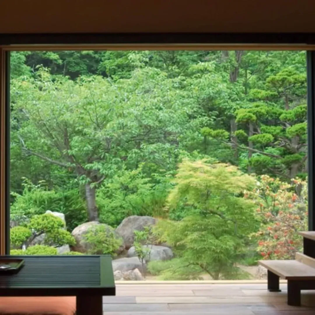 View from room