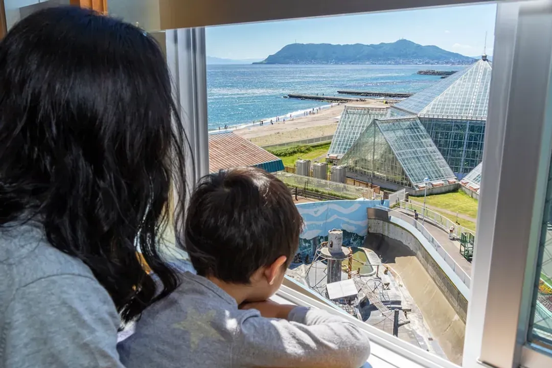 View from room