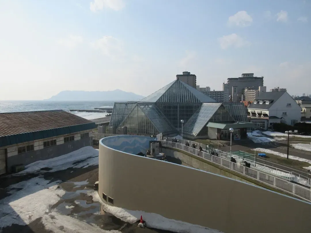 View from room