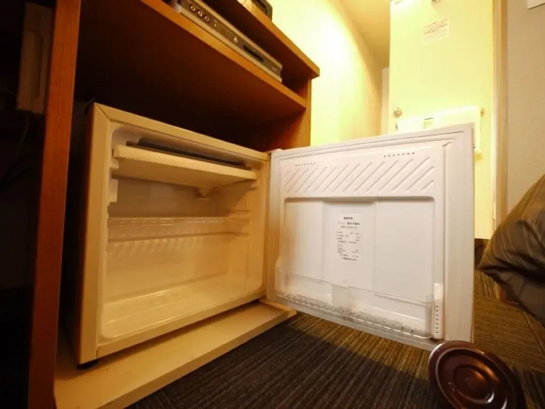 Mini-refrigerator