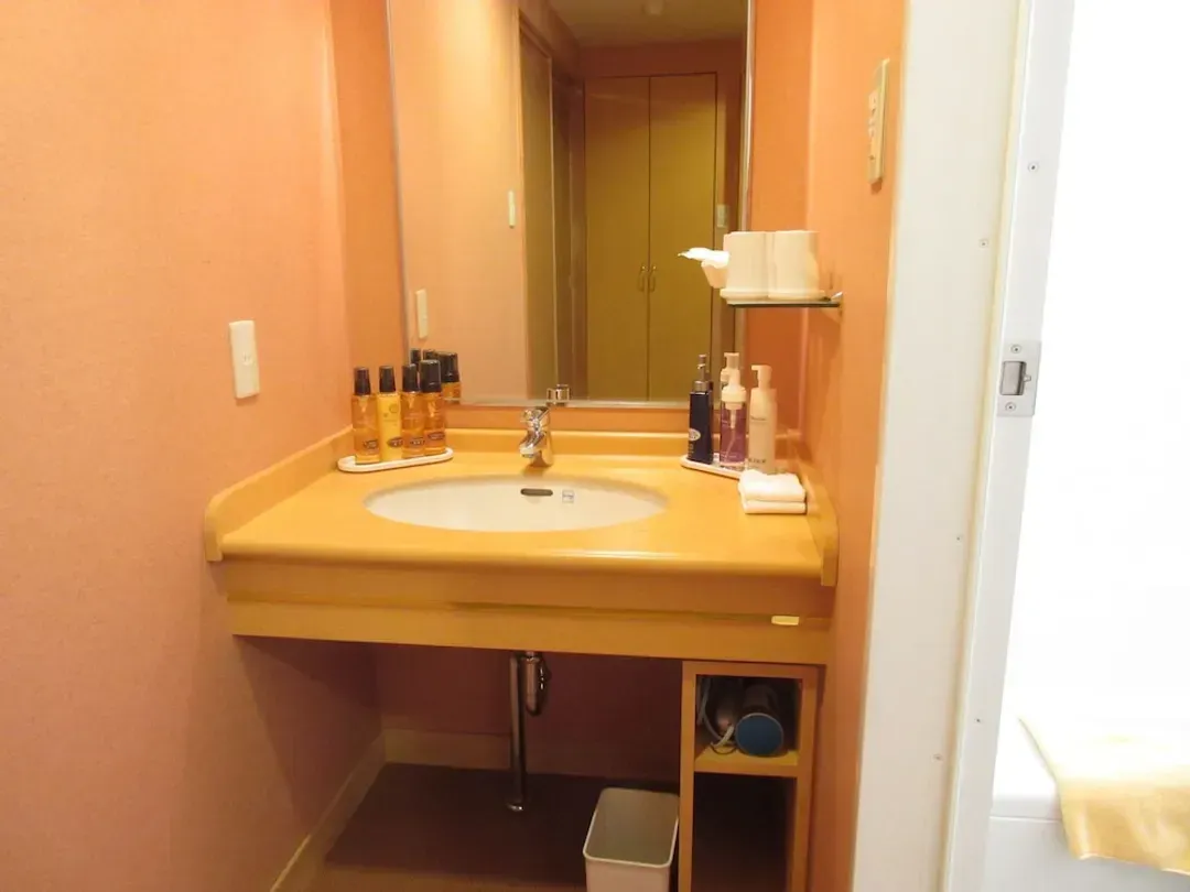 Bathroom sink