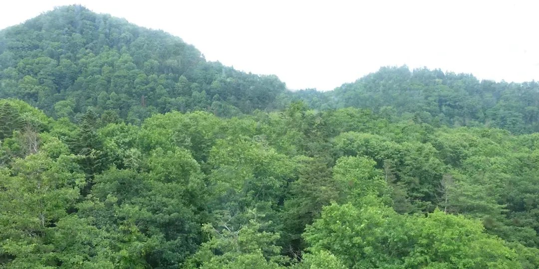 View from room