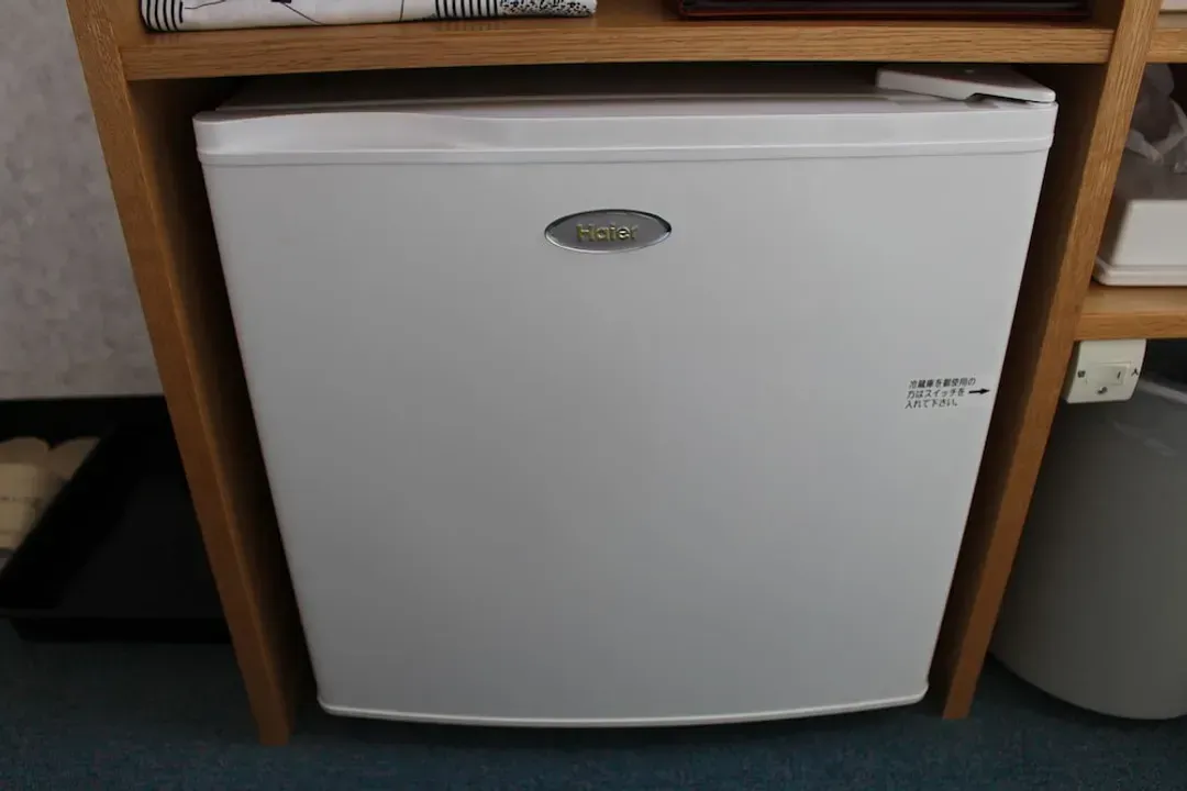Mini-refrigerator