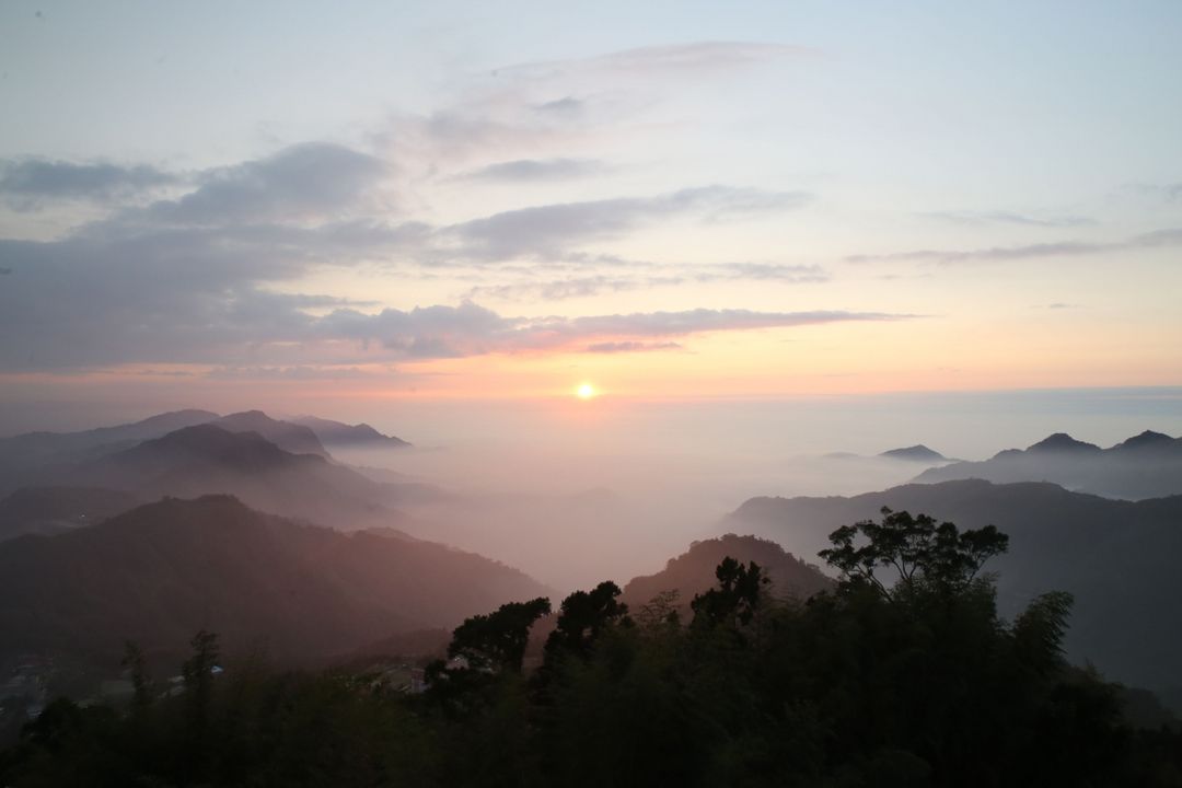 아리샨 아리시너리 (Alishan Aliscenery B&B)