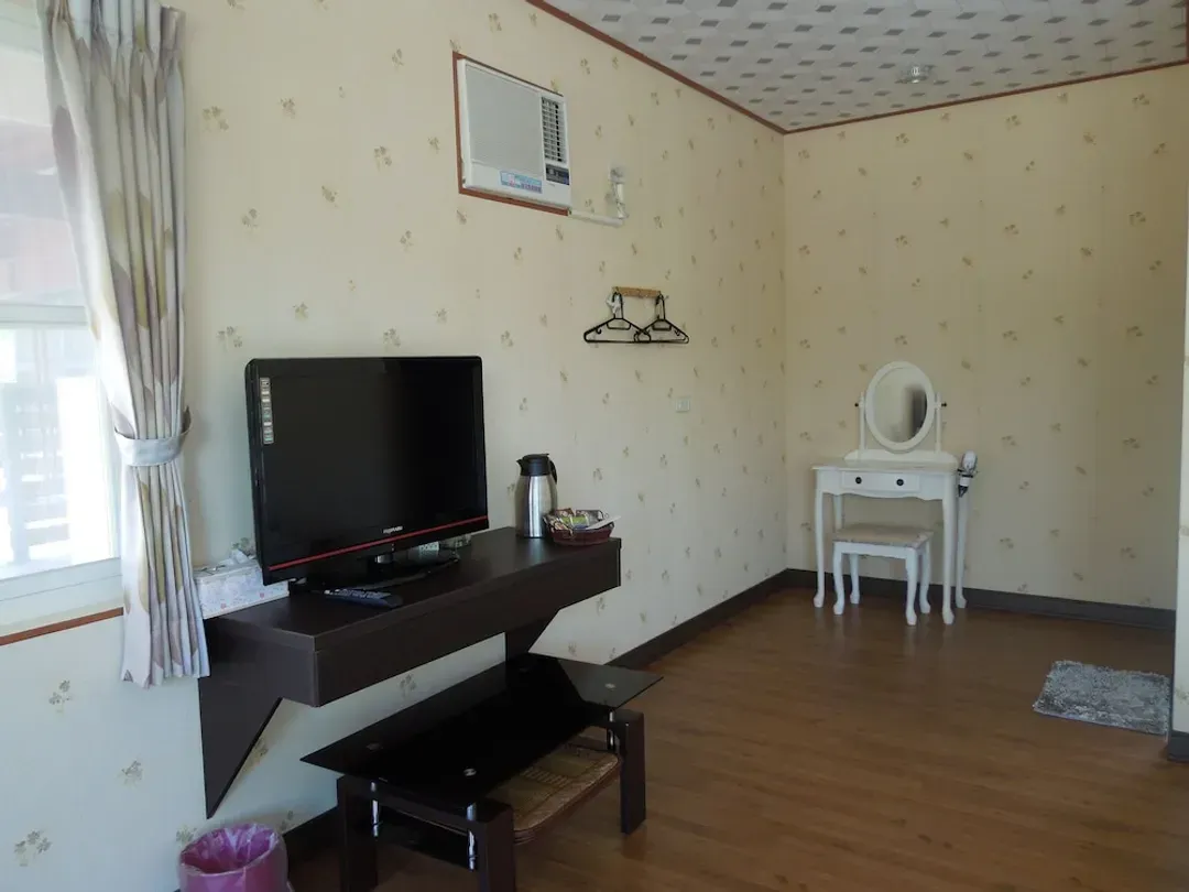 Television