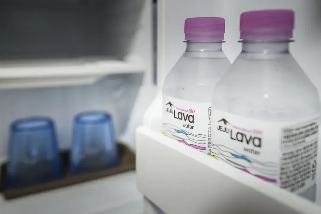 Mini-refrigerator