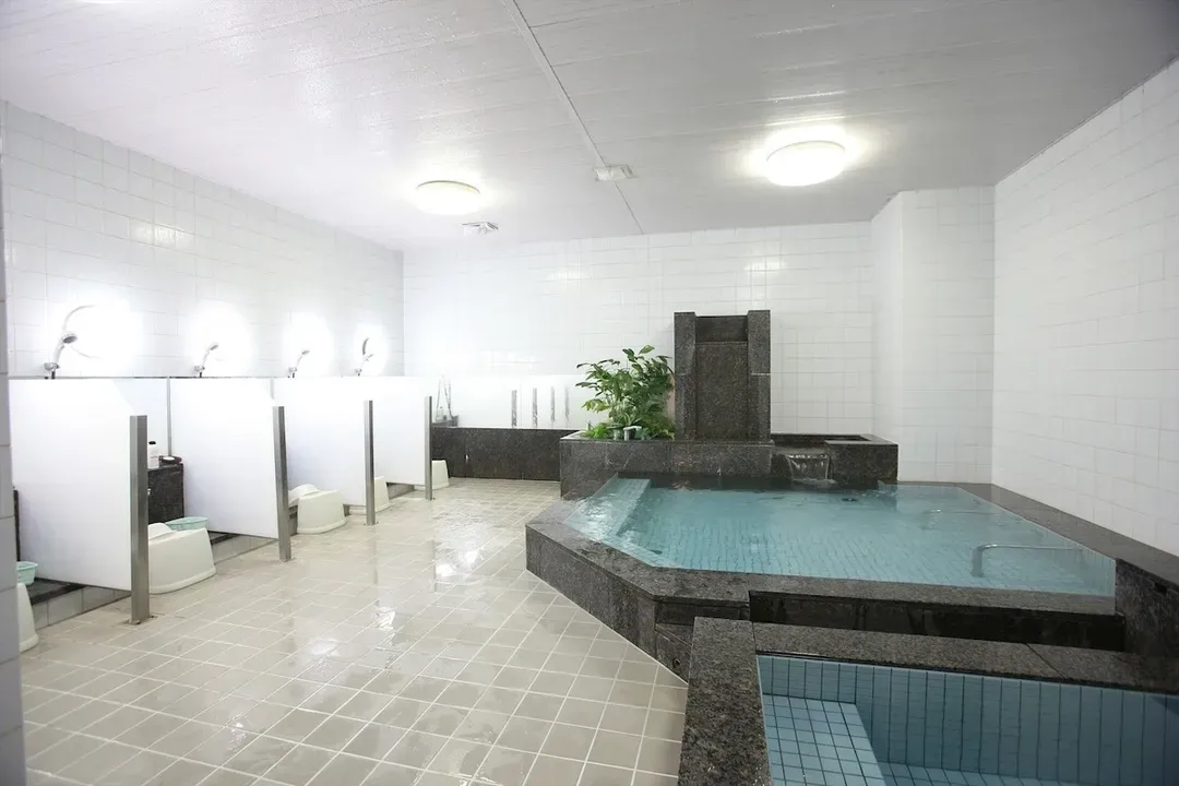 ANA Crowne Plaza Kyoto by IHG-4