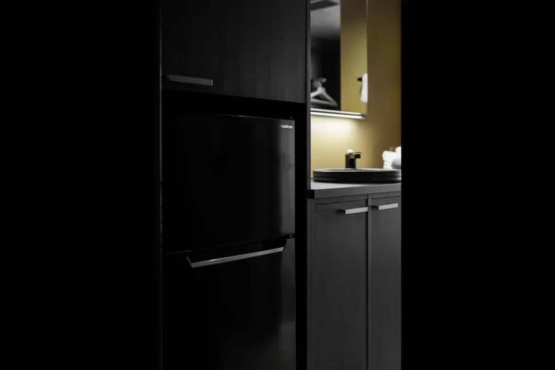 Mini-refrigerator