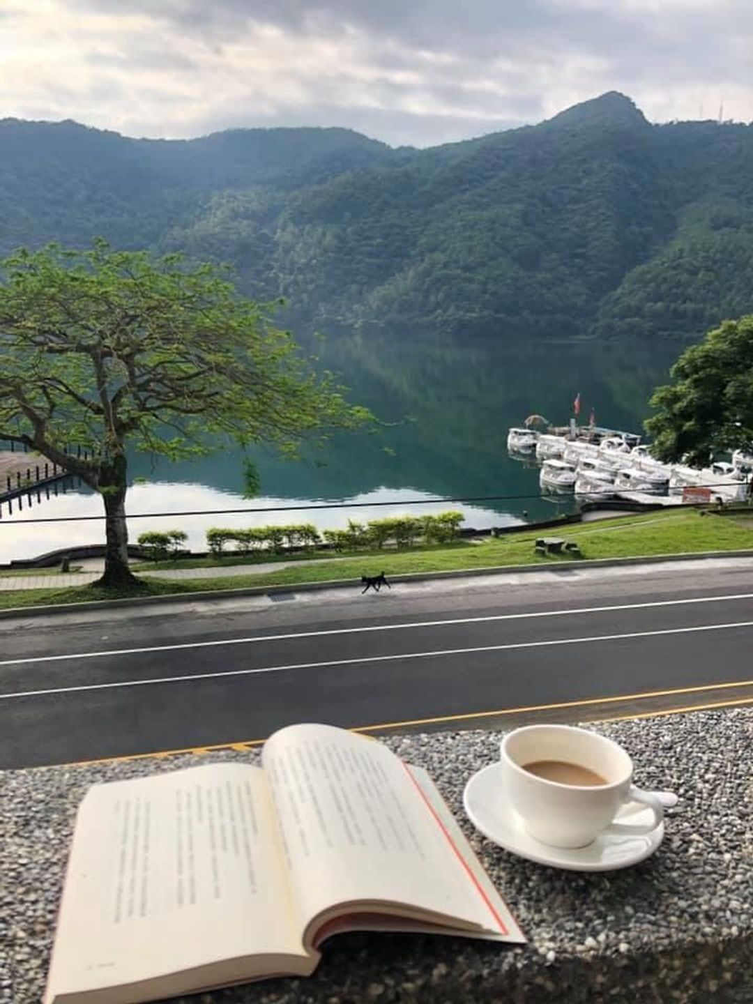 鯉魚潭湖畔46民宿｜寵物友善｜可租借自行車
