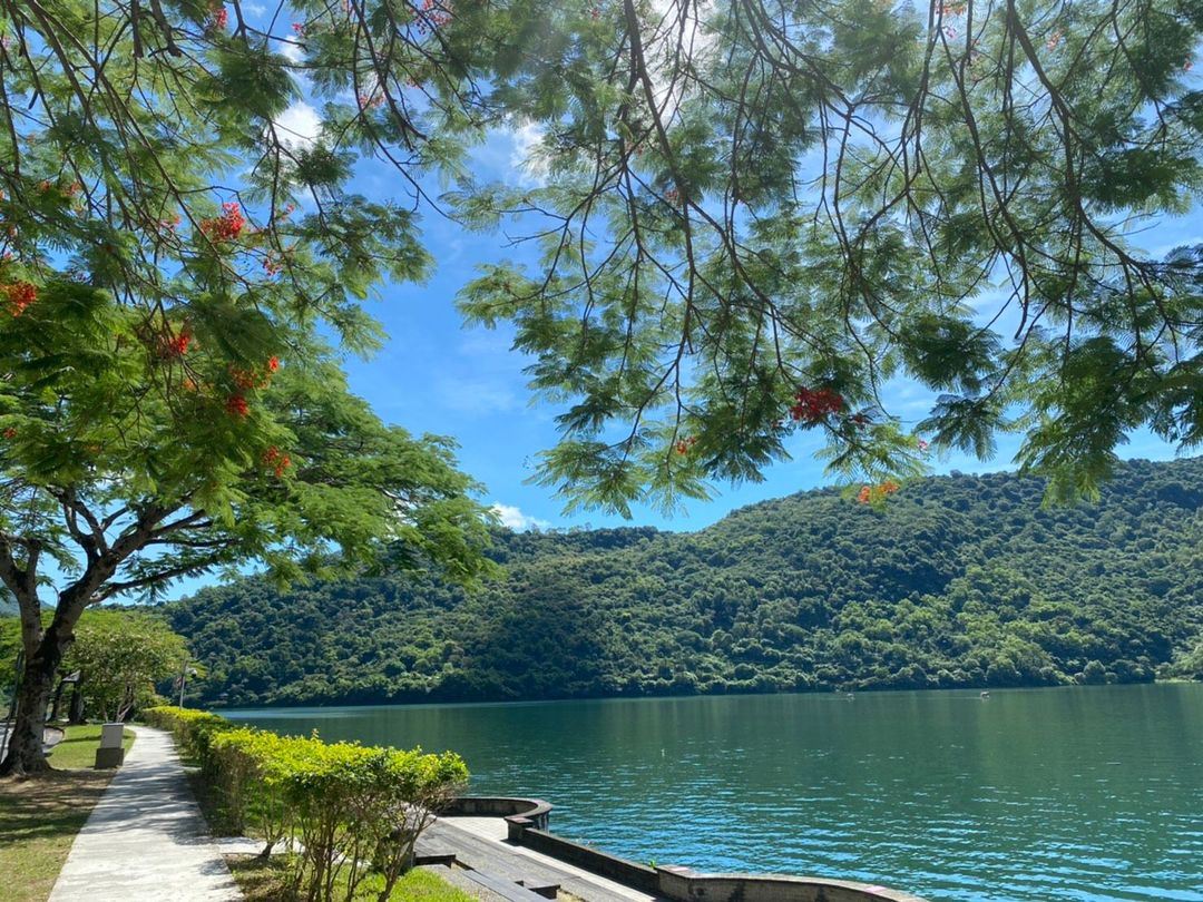 鯉魚潭湖畔46民宿｜寵物友善｜可租借自行車