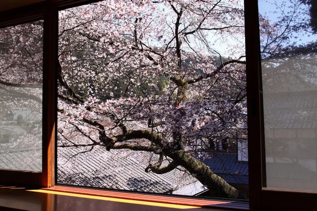View from room