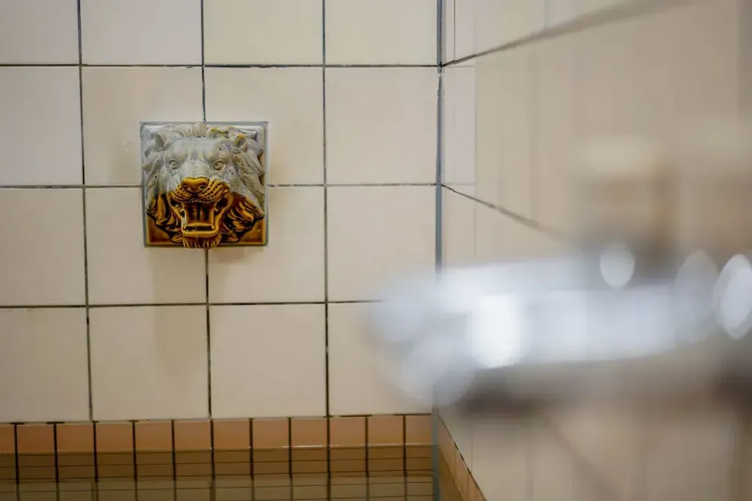 Public bath
