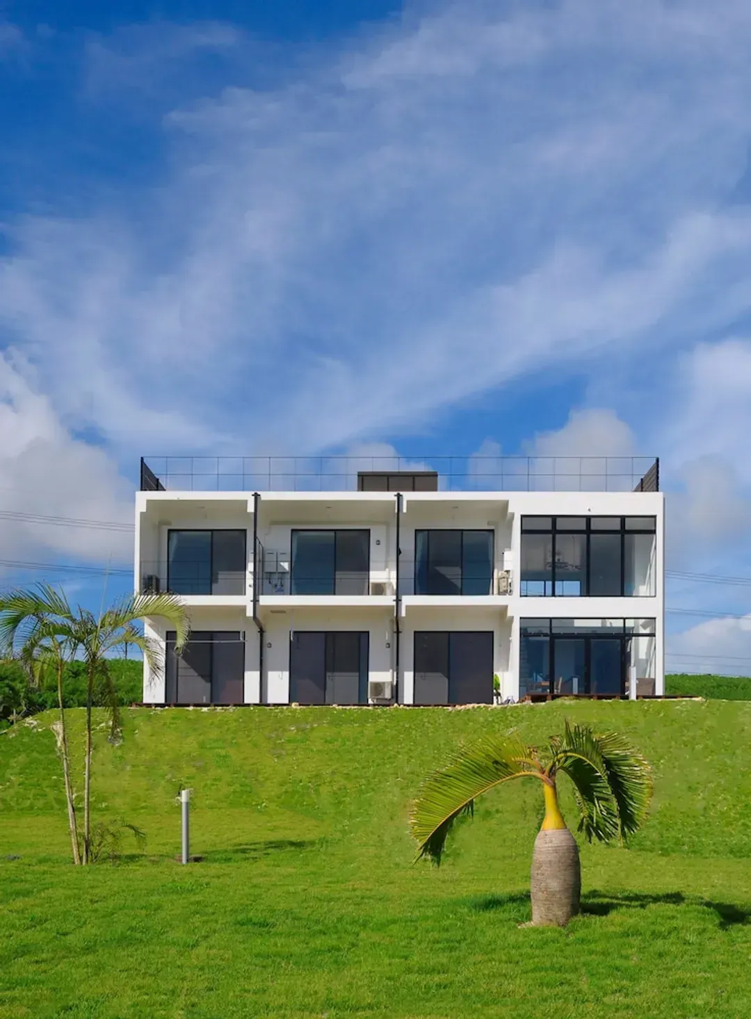 Primary image