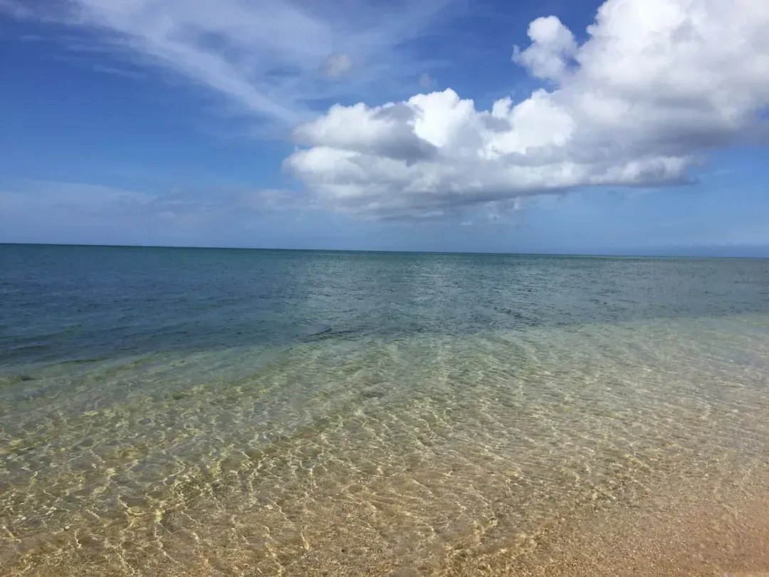 Beach