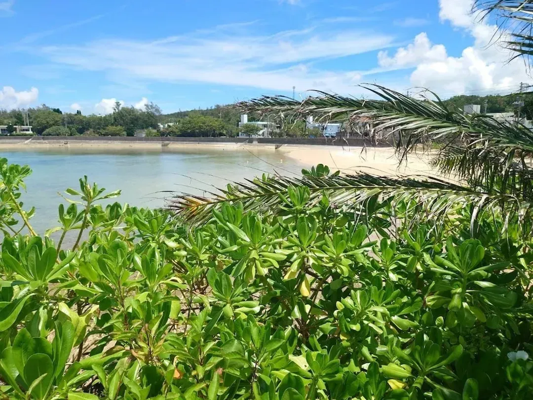 Beach