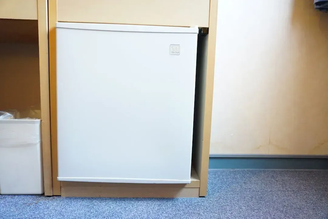 Mini-refrigerator